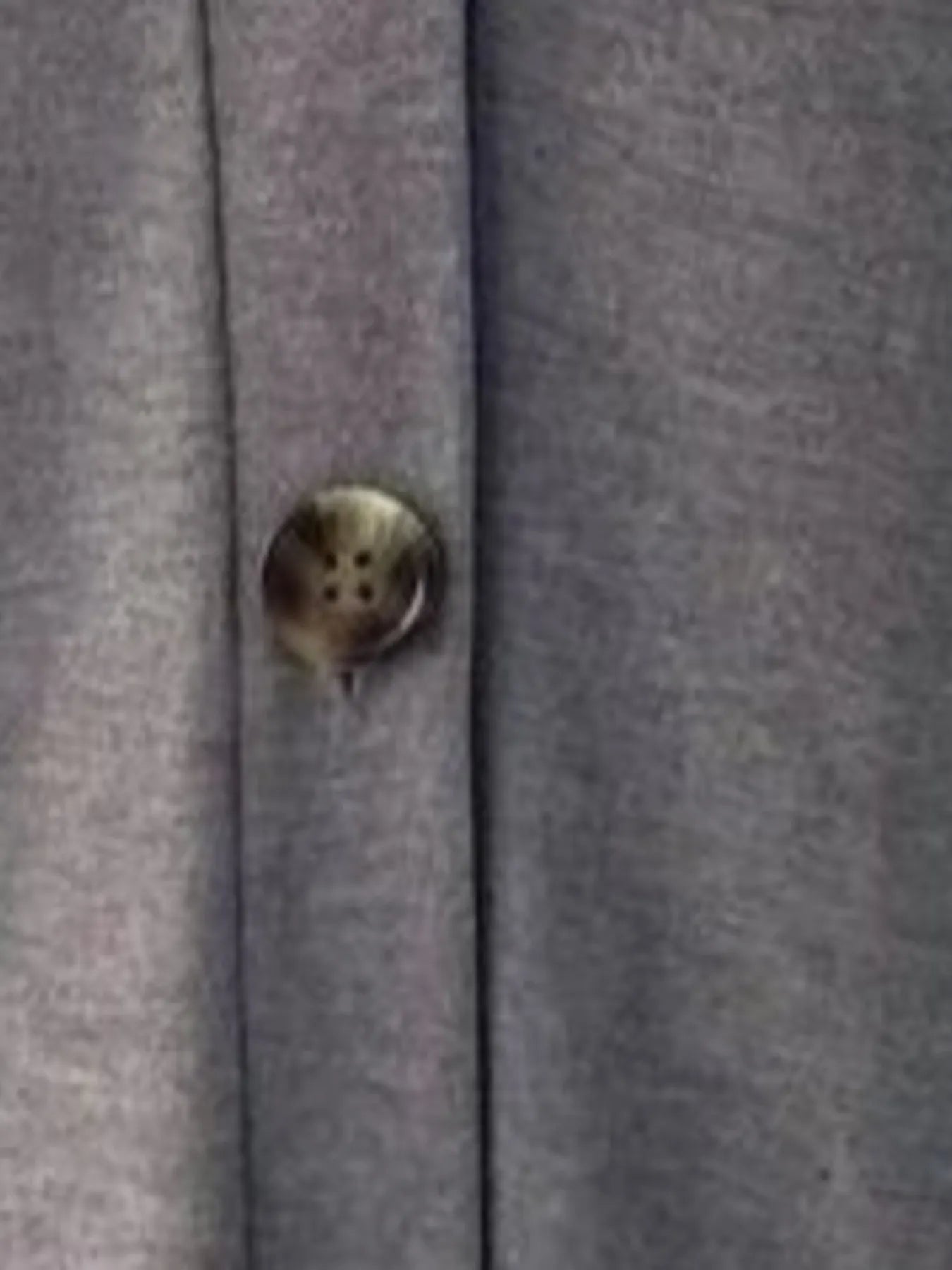 54943040ed9e4f36adcdc1bbf018f932-Max-Origin